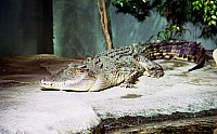 [File_030.jpg]