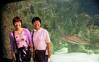 [File_104.jpg]