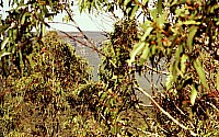 [File_111.jpg]
