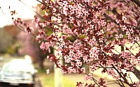 [File_126.jpg]