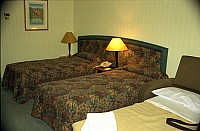 [File_202.jpg]