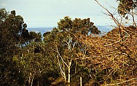 [File_217.jpg]