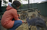 [File_228.jpg]