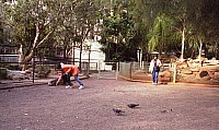 [File_302.jpg]