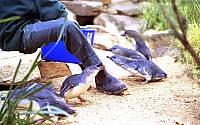 [File_307.jpg]