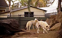 [File_310.jpg]