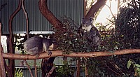 [File_533.jpg]