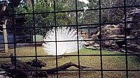 [File_534.jpg]
