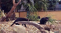 [File_535.jpg]