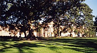 [File_570.jpg]