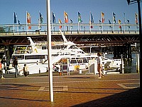 [IMG0006.JPG]