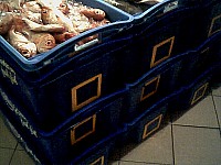 [IMG0011.JPG]